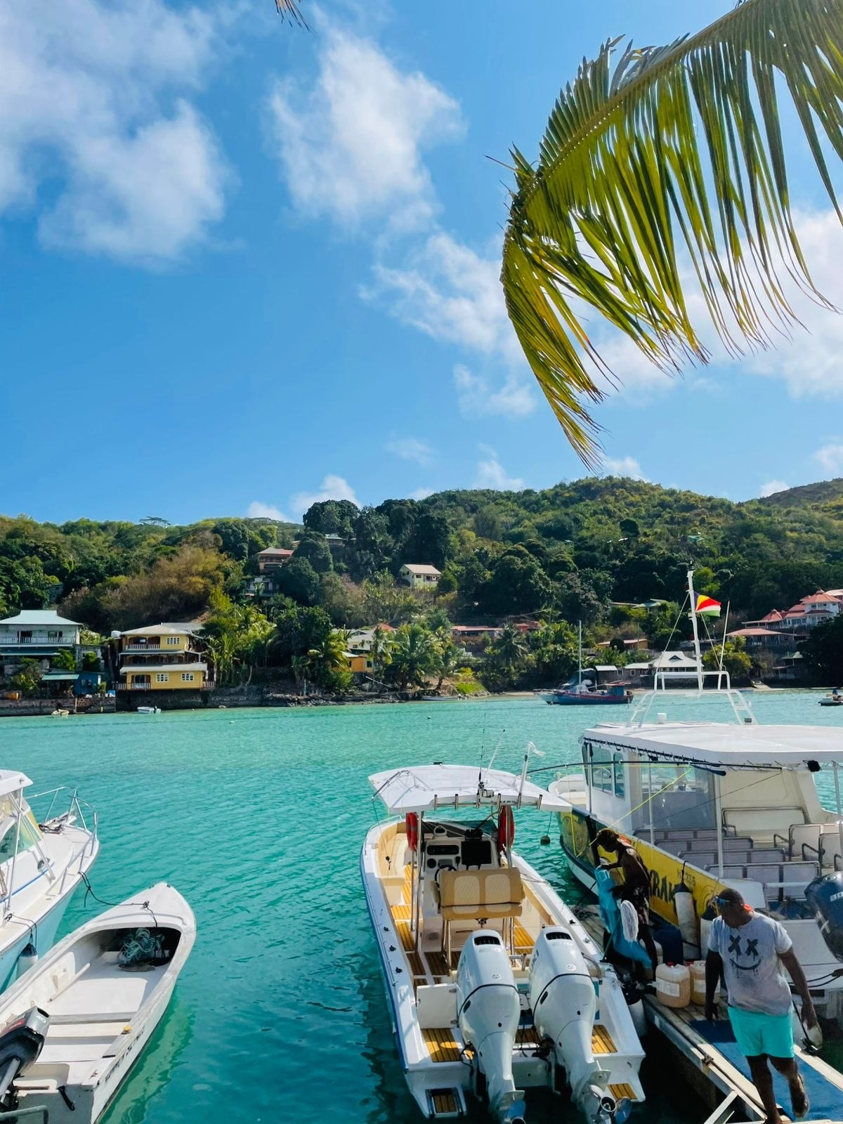 Boats moored in the turquoise harbour at Baie St Anne, Praslin, with palm fronds overhead